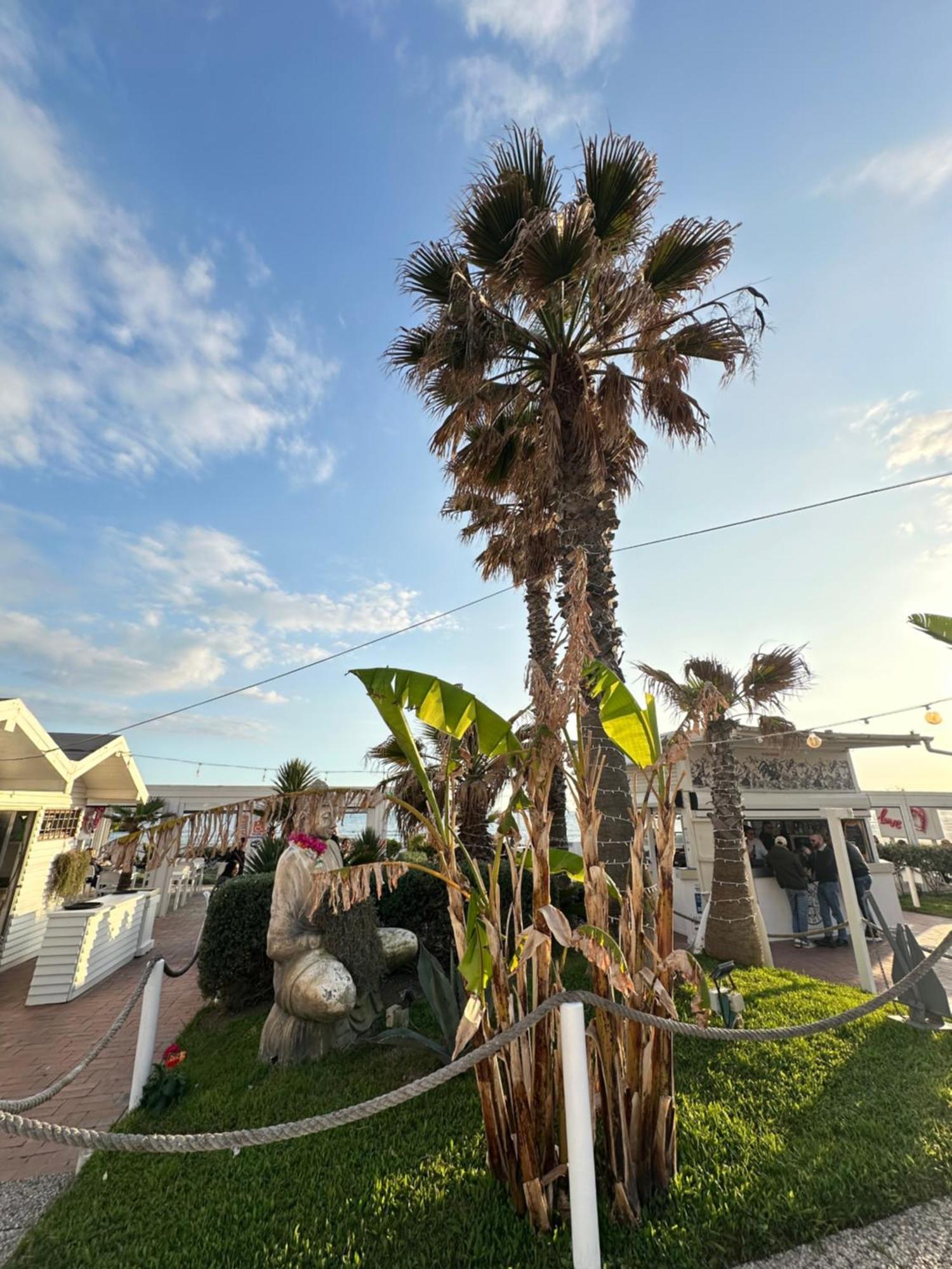 Penthouse Salus Sea View Terrace Daire Lido di Ostia Dış mekan fotoğraf